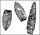 Arrowheads