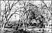 A maple sugar camp
