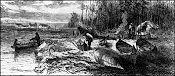 Indians making birch-bark canoes.