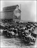 Delivering wheat