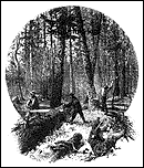 Sawing into logs