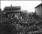 Gregor Kristjian's home