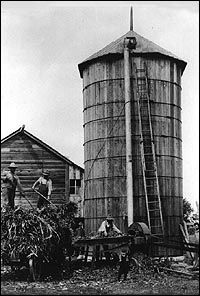 Stave Silo
