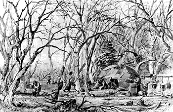 Maple Sugar Camp