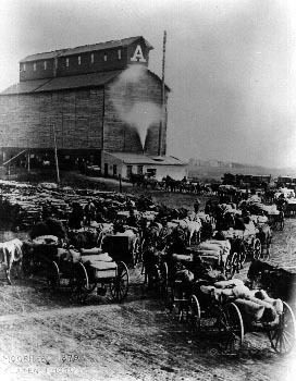 Delivering wheat