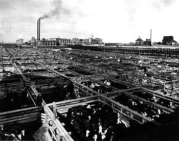 Union stock yards
