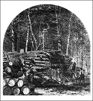 Loggers camp