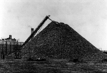 Pulpwood storage