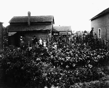 Gregor Kristjian’s home