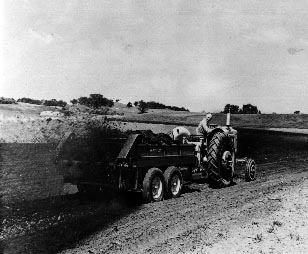 Spreading manure