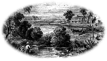 A prairie home